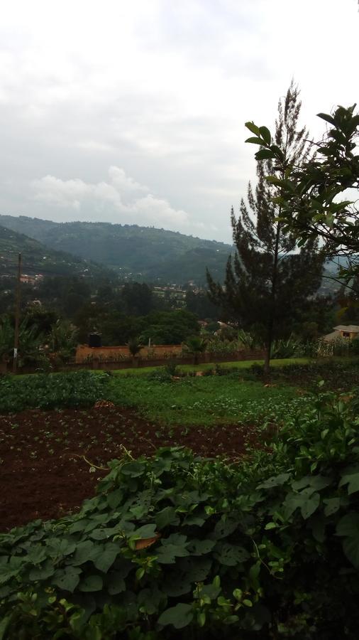White Horse Inn Kabale Exterior photo